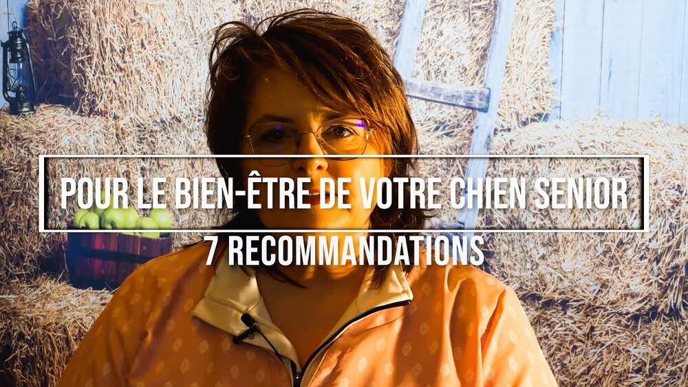 7 recommandations