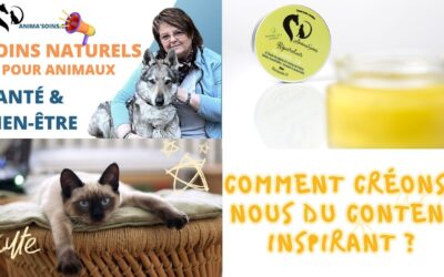 Comment créons-nous du contenu pour informer sur le bien-être animal ? 