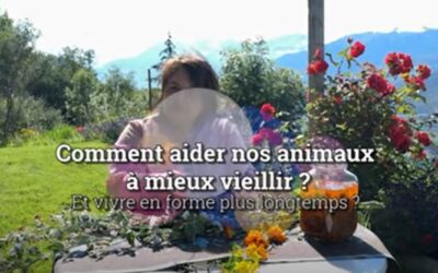 Bien-être animal : tout est son contraire. Privilégions des informations fiables !