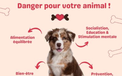 La mésinformation en Santé Animale : un danger pour nos compagnons