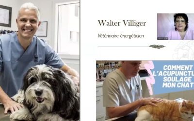 Walter Villiger : pionnier de la Médecine Vétérinaire Énergétique