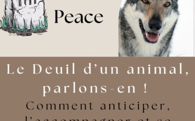 Le Deuil d’un animal, parlons-en ! Comment anticiper, l’accompagner et se préparer à sa perte ?