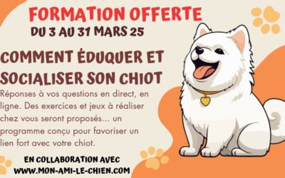 Comment l’éducation de votre chiot peut-elle contribuer à son bien-être général ?