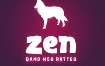 🎉 Nouvelle chaîne YouTube : Zen dans mes pattes – Pour un chien… et un humain zen !