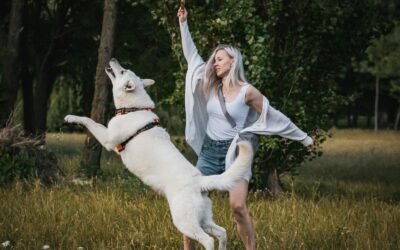 Mieux comprendre votre chien : la clé d’une relation harmonieuse