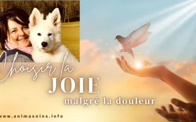 Choisir la joie malgré la douleur : du chagrin à l’émerveillement
