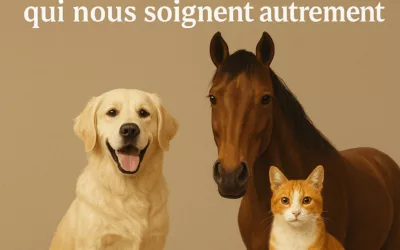 Chiens, chevaux, chats… ces alliés thérapeutiques qui nous soignent autrement