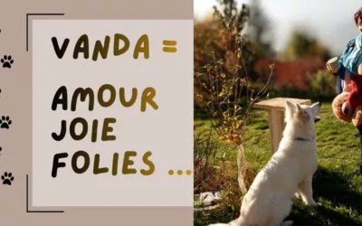 Vanda, future chienne “thérapeute” et déjà guérisseuse d’âmes