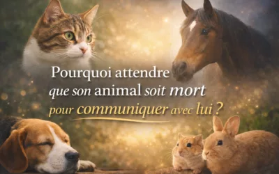 Pourquoi attendre que son animal soit mort pour communiquer avec lui ?